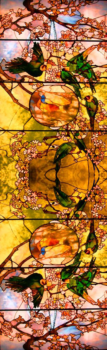 447996-时尚 水彩 花卉  鹦鹉 数码 对