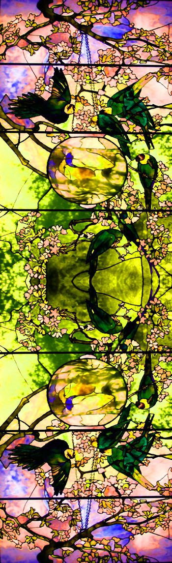 447997-时尚 水彩 花卉  鹦鹉 数码 对