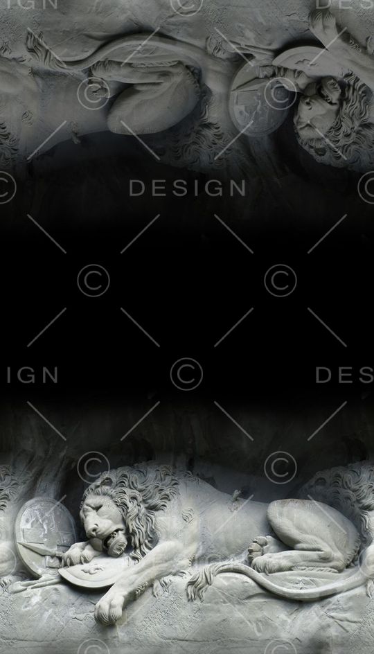 Moncler印花华亿平台图片