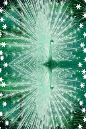 动物印花华亿平台图片