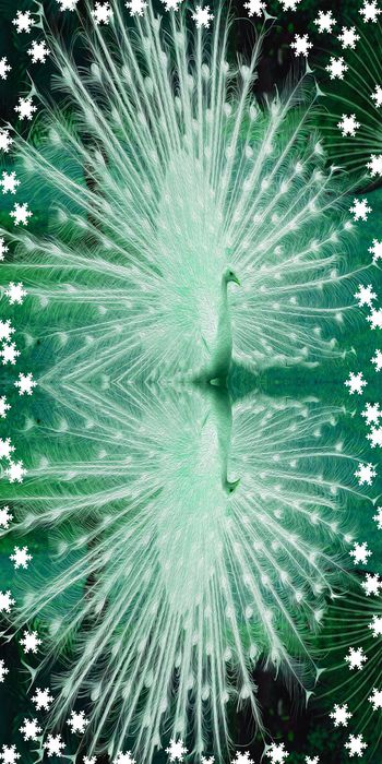 动物印花华亿平台图片