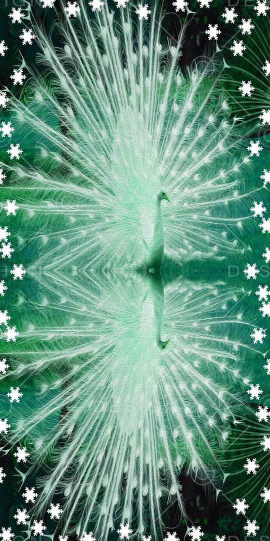 动物印花华亿平台图片