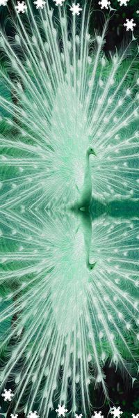 动物印花华亿平台图片