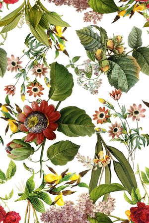 清新印花华亿平台图片