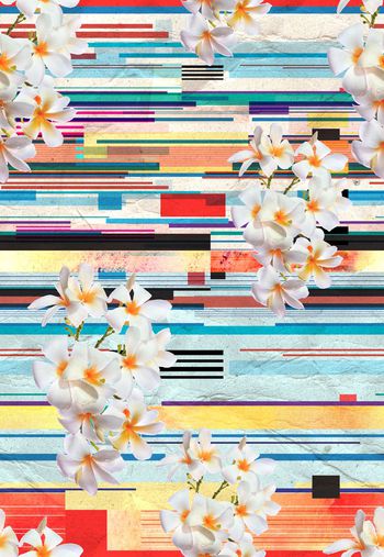 448245-彩色条纹热带花卉组合