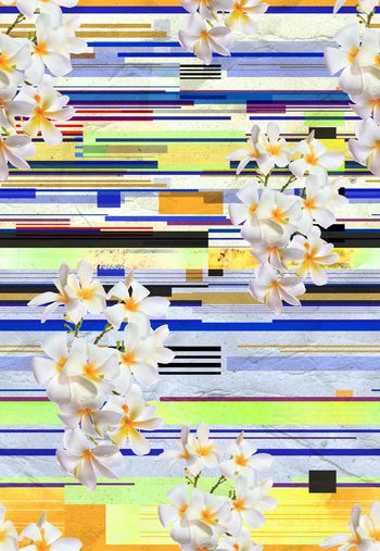 448246-彩色条纹热带花卉组合
