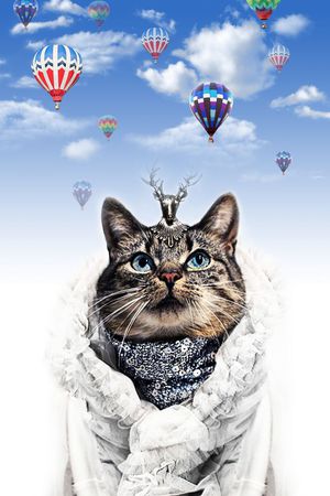 时尚印花华亿平台图片