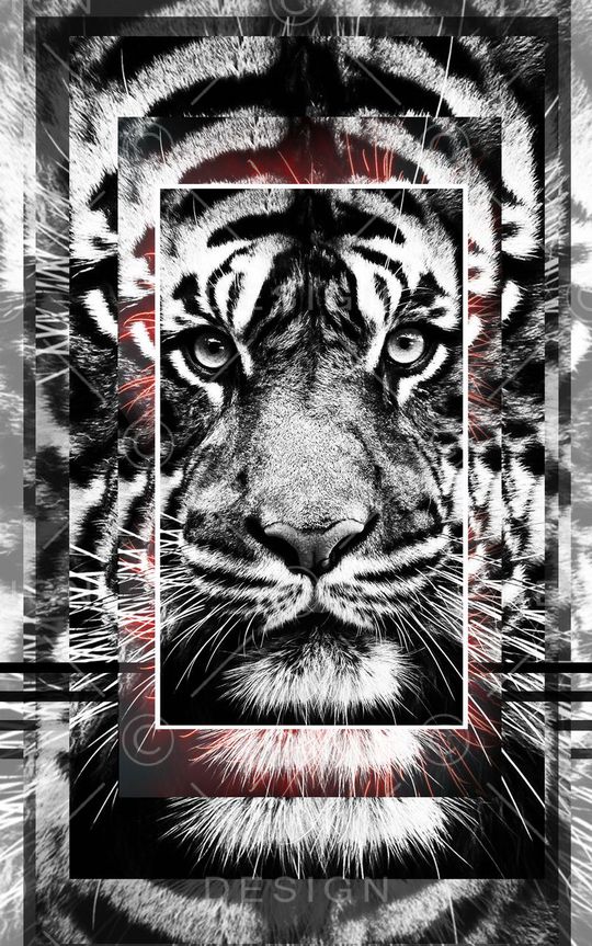 流行时尚印花华亿平台图片