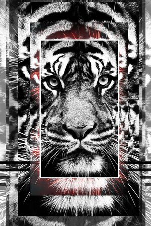 流行时尚印花华亿平台图片