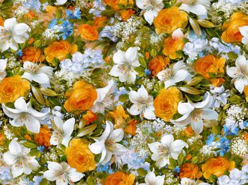 窗帘印花华亿平台图片