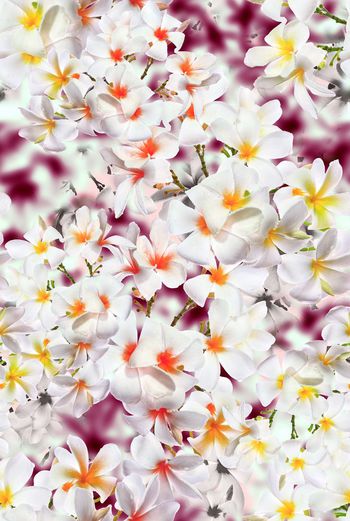 448322-数码渐变色彩鲜花