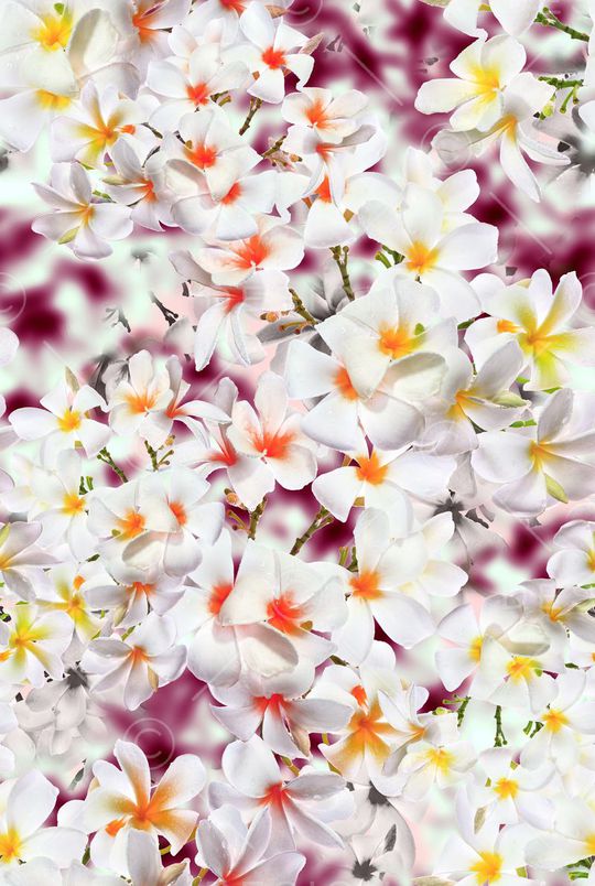 数码花卉印花华亿平台图片