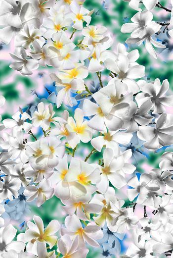 448323-数码渐变色彩鲜花