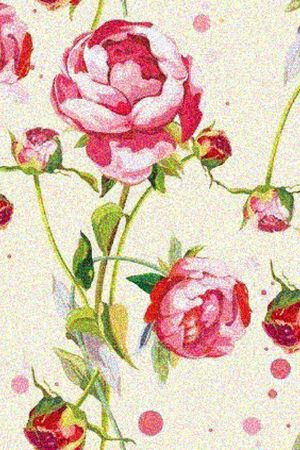 羽毛印花华亿平台图片