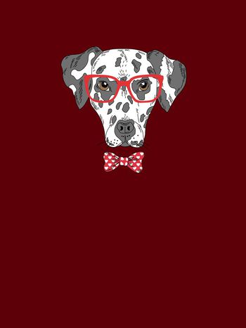 狗狗印花华亿平台图片