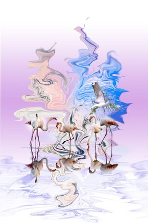 白鹤印花华亿平台图片