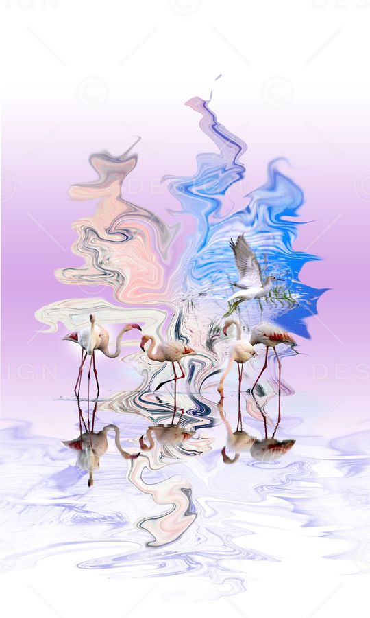 白鹤印花华亿平台图片