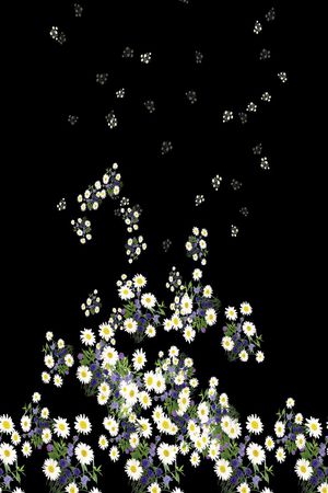 白野菊印花华亿平台图片