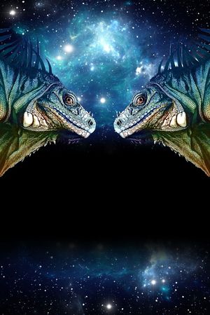 定位花印花华亿平台图片