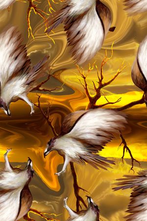 爆款男装印花华亿平台图片