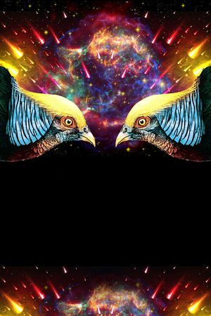 花鸟印花华亿平台图片