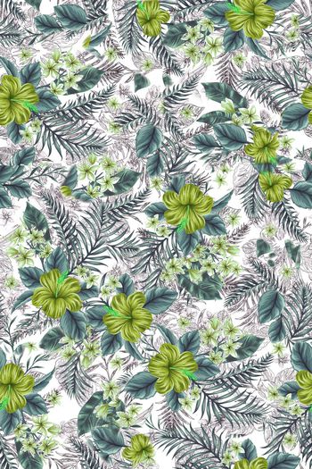 448595-WT478欧式夏威夷花休闲手绘花卉