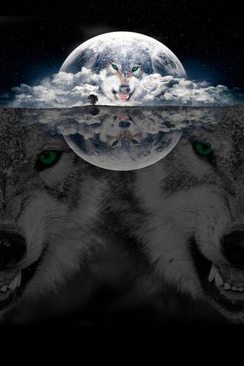 448727-野性狼本色镜面意境月球地球狼头男装