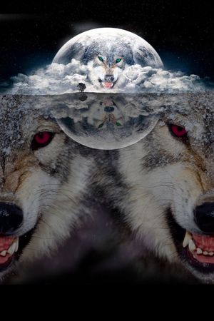 镜面印花华亿平台图片