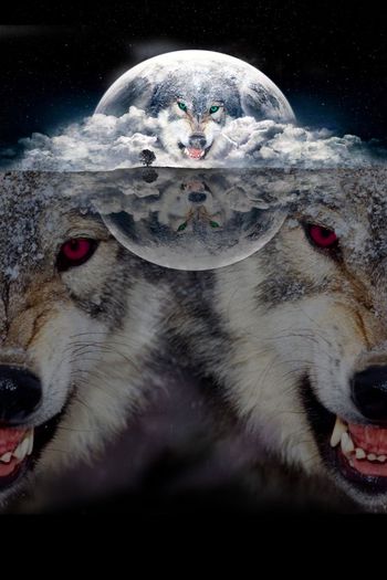 448736-野性狼本色镜面意境月球地球狼头男装