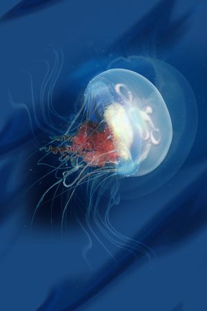 L.D~动物印花华亿平台图片