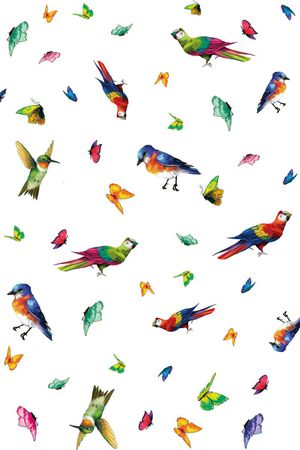 女装印花华亿平台图片