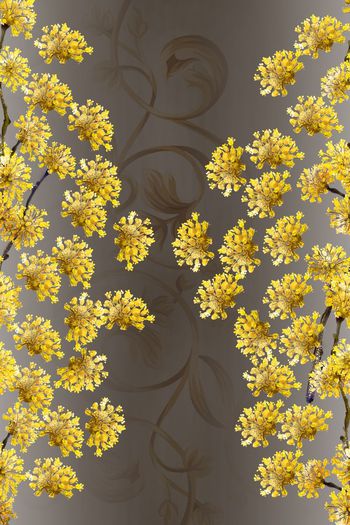 复古印花华亿平台图片