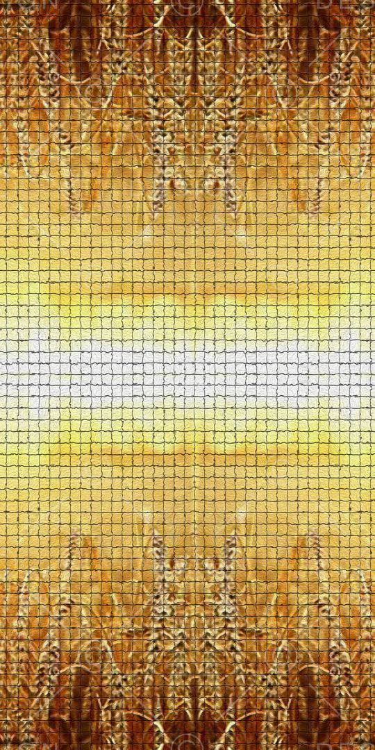 零点--女装印花华亿平台图片