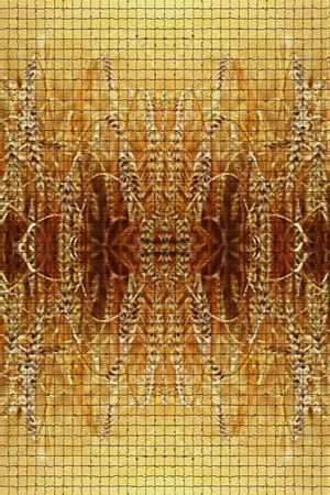 零点--女装印花华亿平台图片