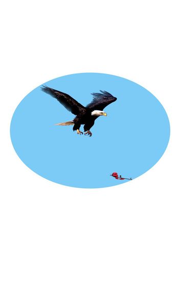 时尚印花华亿平台图片