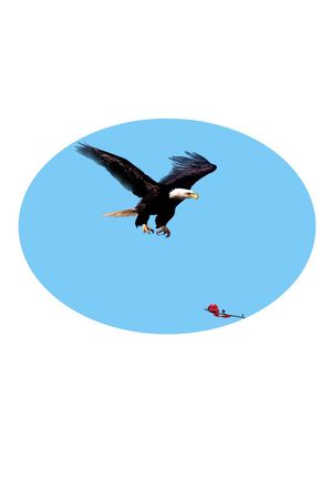 时尚印花华亿平台图片