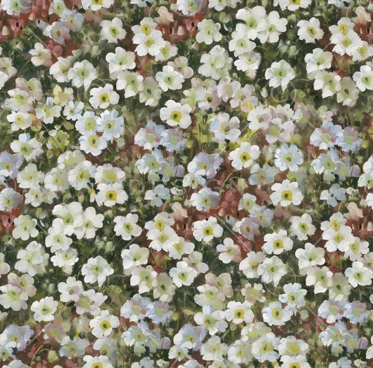 温馨印花华亿平台图片