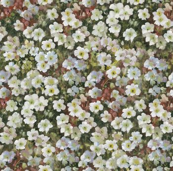 温馨印花华亿平台图片