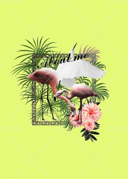 白鹭印花华亿平台图片