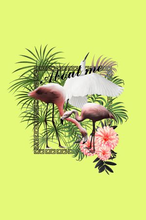 白鹭印花华亿平台图片