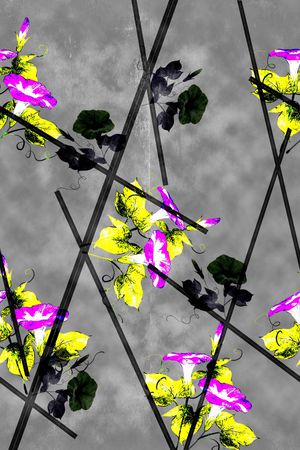 花印花华亿平台图片