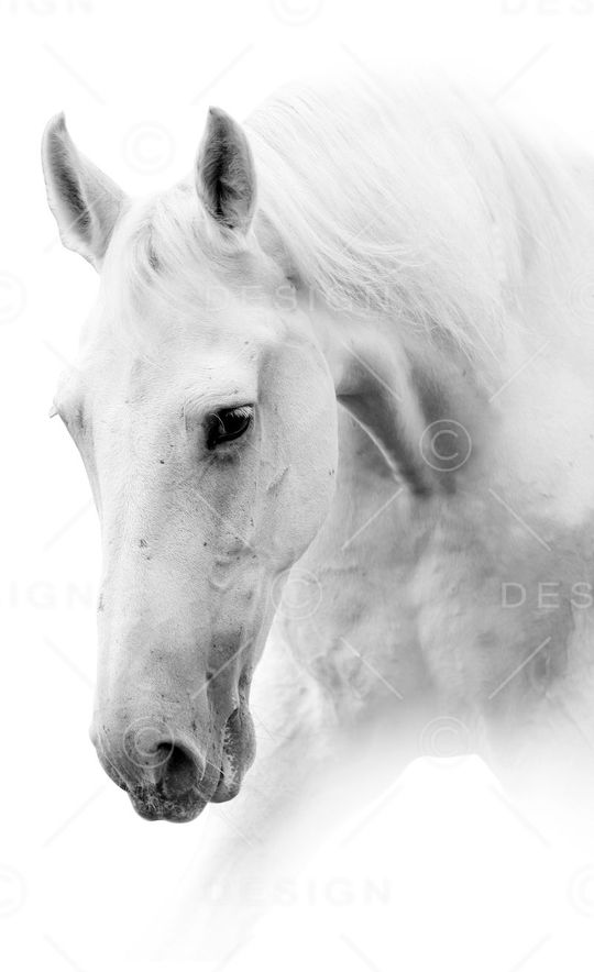 休闲印花华亿平台图片