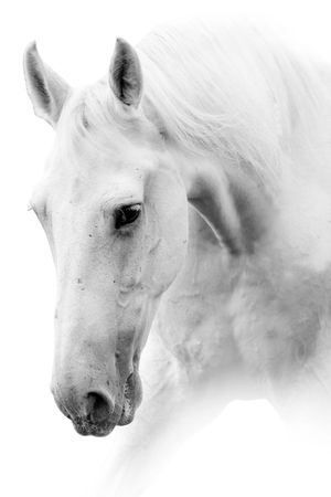 休闲印花华亿平台图片