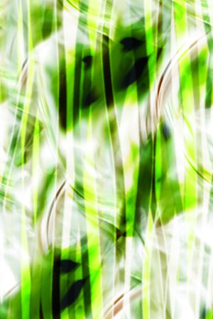 随风清扬印花华亿平台图片