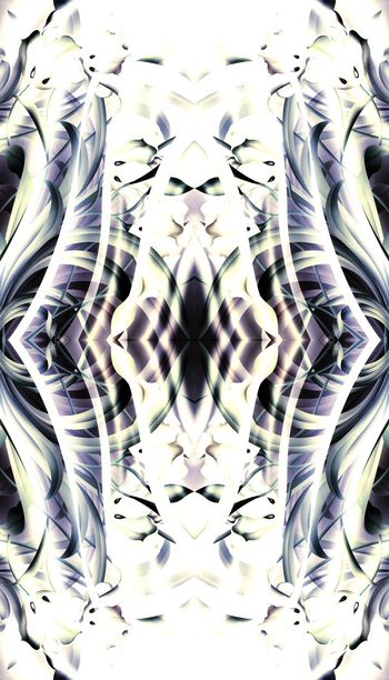 449346-1506 WL297 大气定位兰花