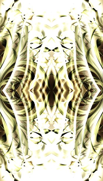 449347-1506 WL297 大气定位兰花