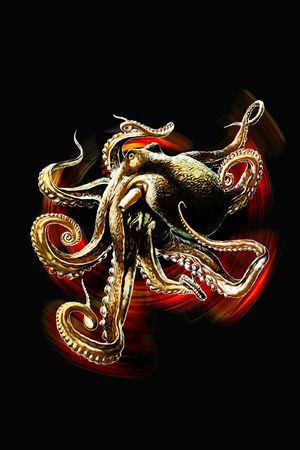 L.D~动物印花华亿平台图片