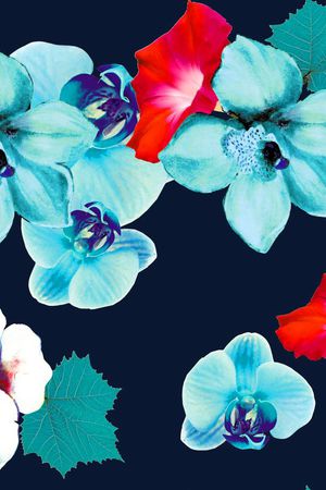 喇叭花印花华亿平台图片