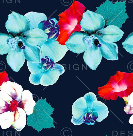 喇叭花印花华亿平台图片