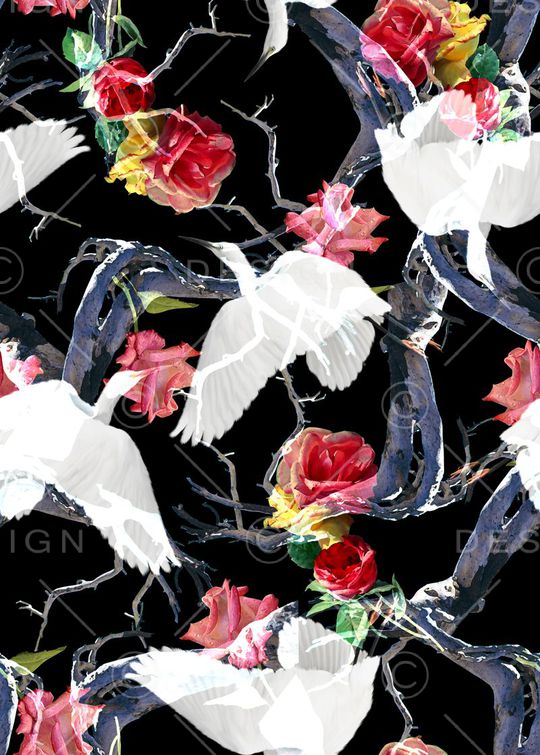 白鹭印花华亿平台图片